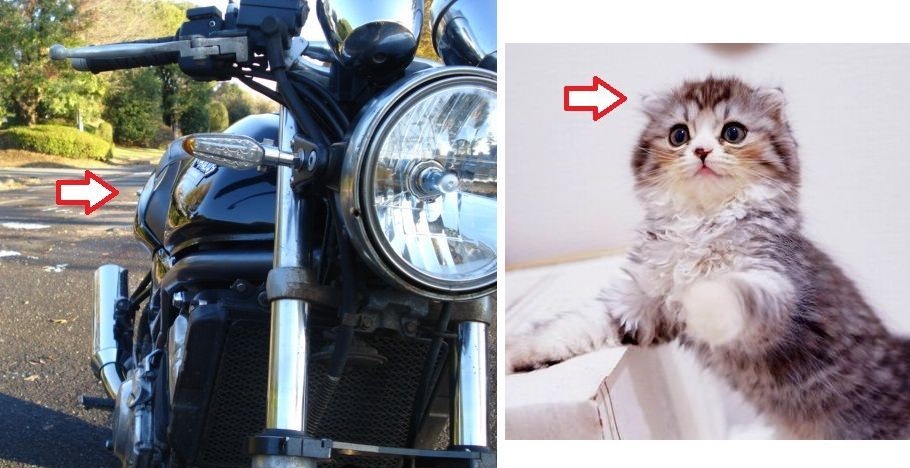 前方から見ると不恰好