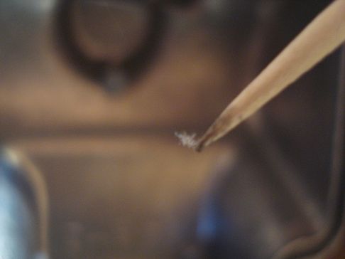 つまみ上げた繊維