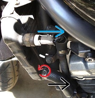 ラジエーター左側のホース、コネクタ