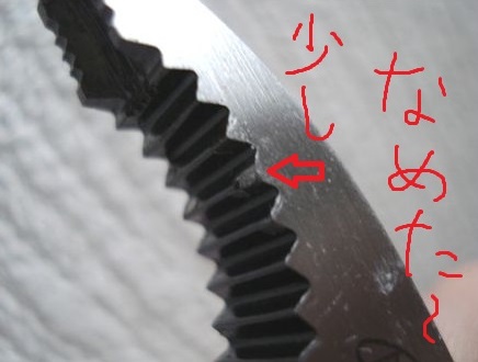 ネジザウルスなめた